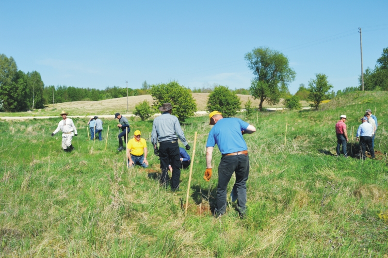 <strong>Lazdijų žirgininkų klubo vadovas R. Buinauskas mano, kad ši vieta – puiki ąžuolynui.</strong>