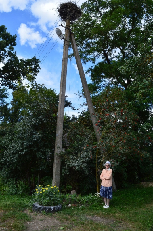 <strong>Z. Vilkinienė “sutaria” su gandrais – po gandralizdžiu augina gėles.</strong>